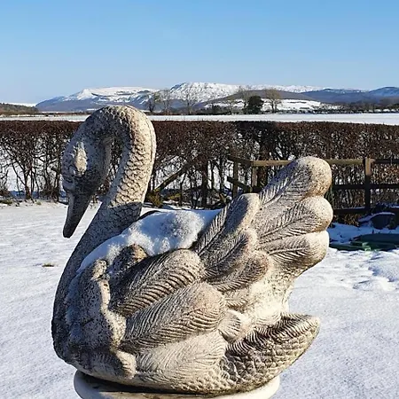 Swan House