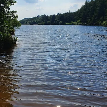 Pensionat Swan House