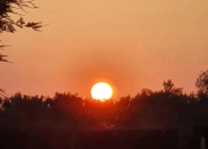 Guest house Swan House