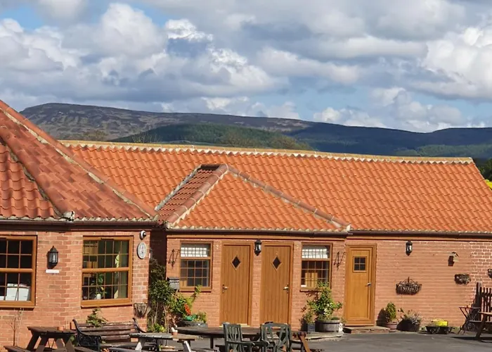 Guest house Swan House