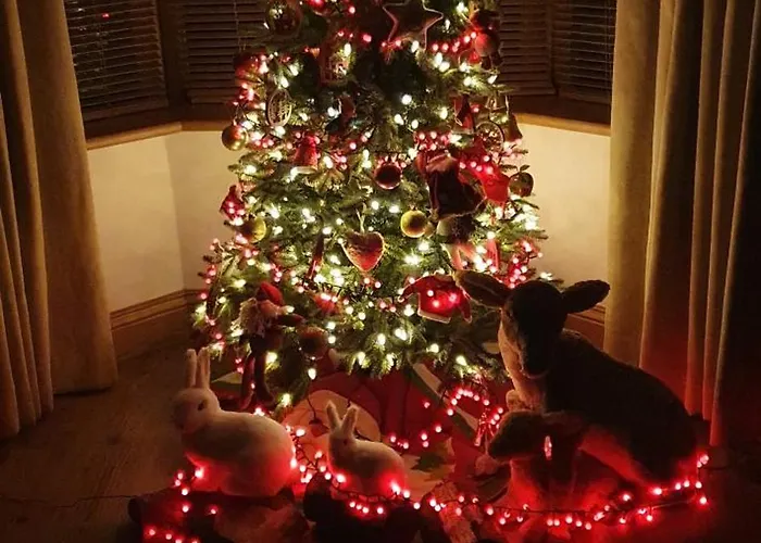 Swan House Guest house 4*