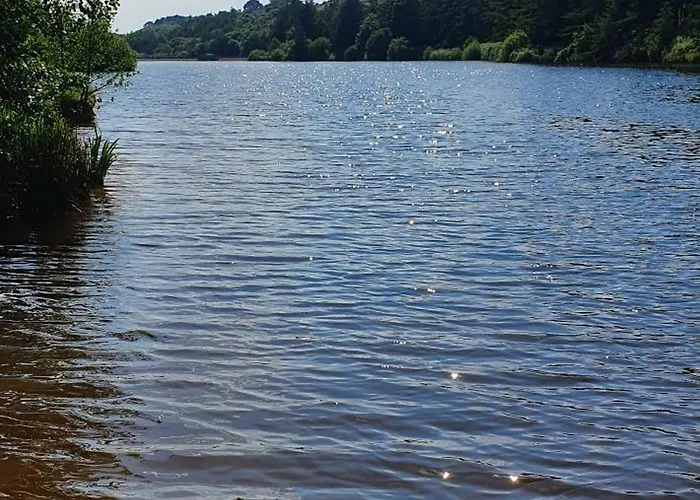 Guest house Swan House