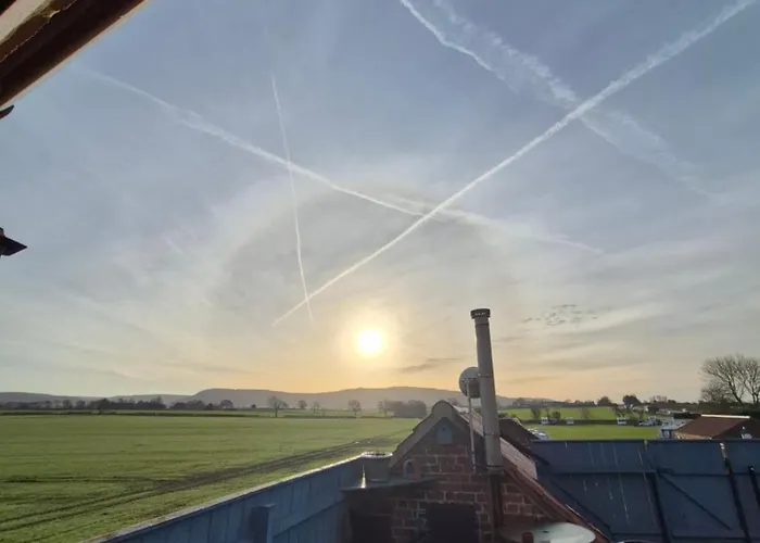 Swan House Guest house 4*