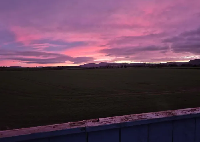 Guest house Swan House 4*