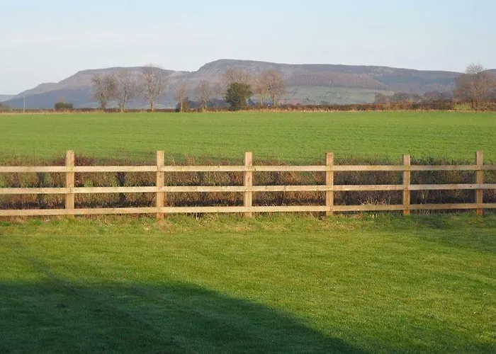 Swan House Guest house 4*