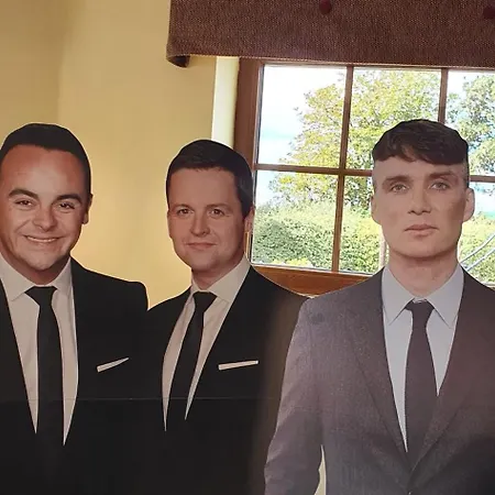 Pensión Swan House 4*